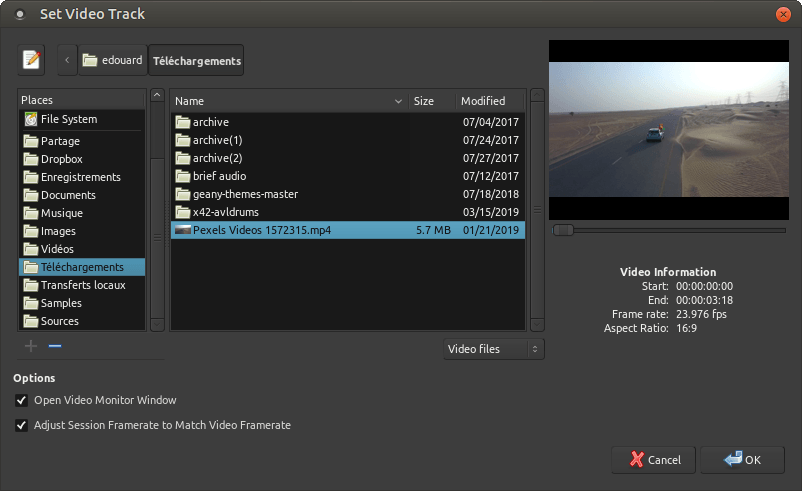 The video open dialog